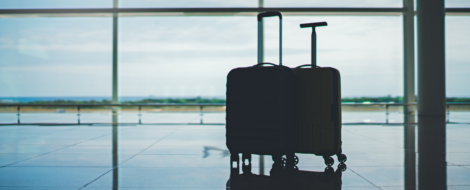 My Life Is a Suitcase