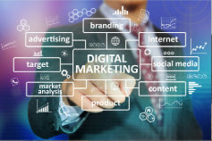 DMI Pro: Certified Digital Marketing Professional (CDMP)