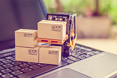 Managing Supply Chain Risk - Online Snippet